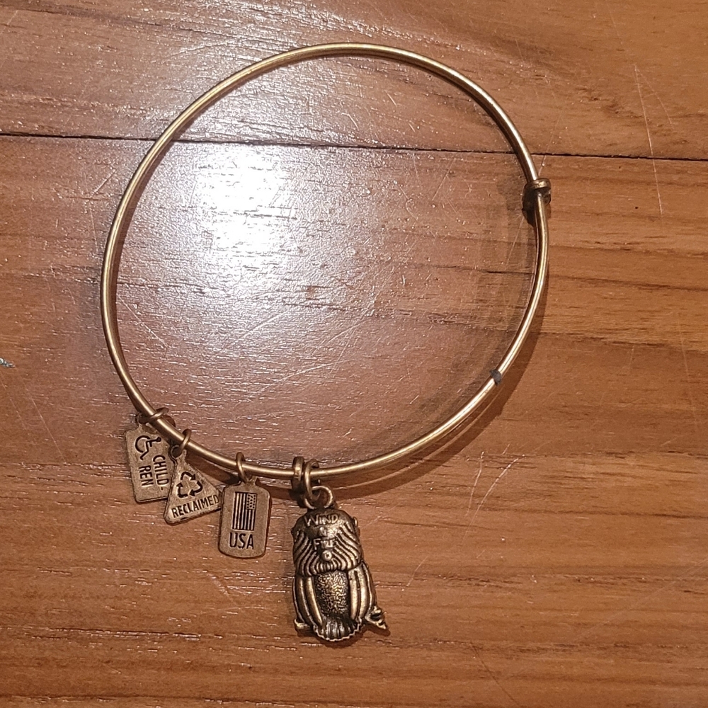 Owl Wind and Fire bracelet